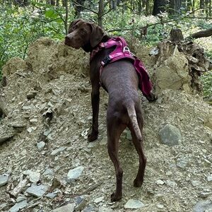 Meet your Posher, Meg